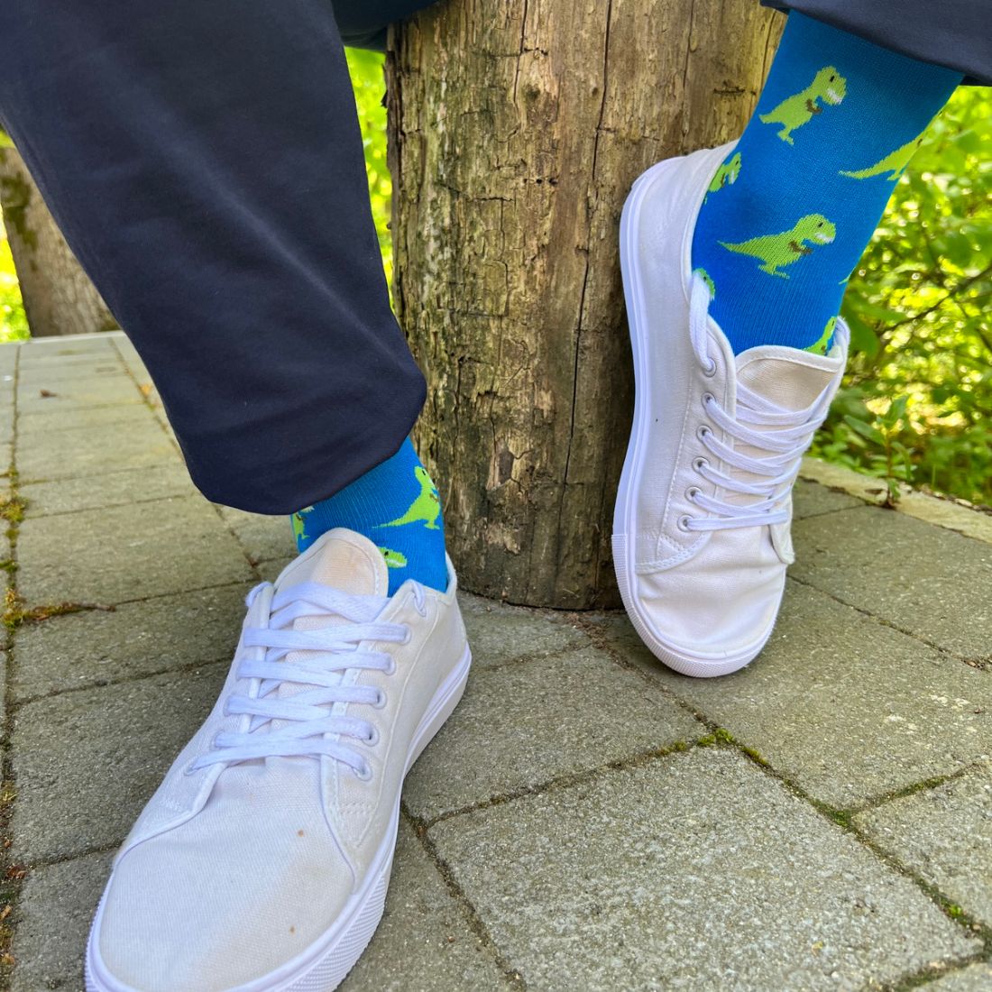 T Rex Dinosaur Bamboo Sock