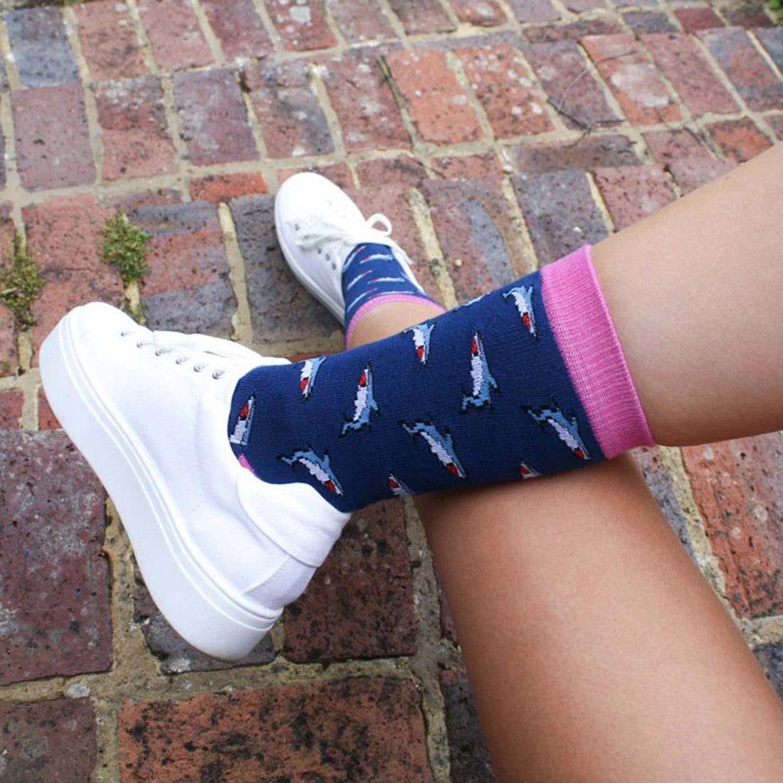 Shark Womens' Bamboo Socks