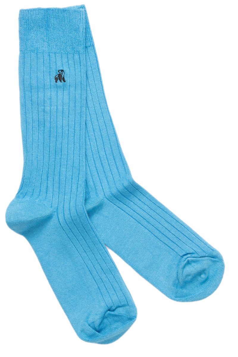 Sky Blue Bamboo Socks